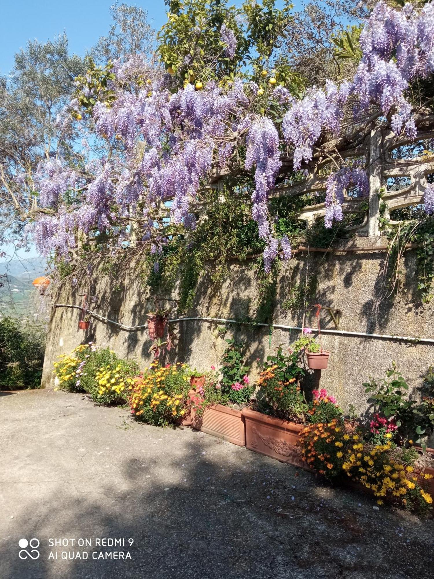 Belvedere Di Caiazzo Exterior photo